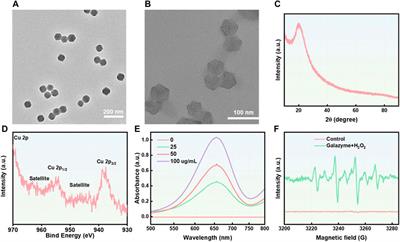 Natural product nanozymes of herbal extract galangin in managing hepatocellular carcinoma